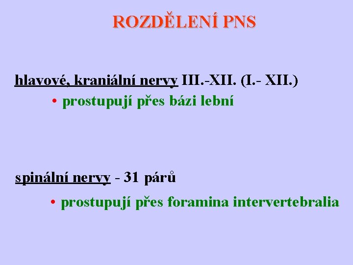 ROZDĚLENÍ PNS hlavové, kraniální nervy III. -XII. (I. - XII. ) • prostupují přes