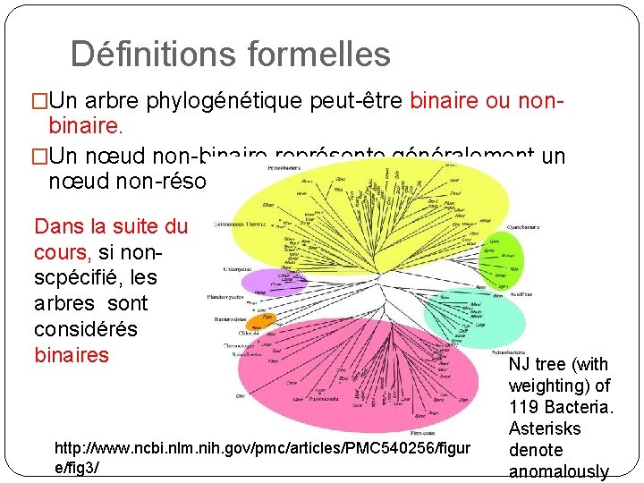 Définitions formelles �Un arbre phylogénétique peut-être binaire ou non- binaire. �Un nœud non-binaire représente