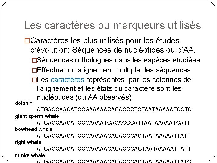 Les caractères ou marqueurs utilisés �Caractères les plus utilisés pour les études d’évolution: Séquences