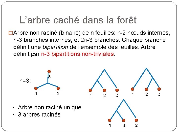 L’arbre caché dans la forêt � Arbre non raciné (binaire) de n feuilles: n-2