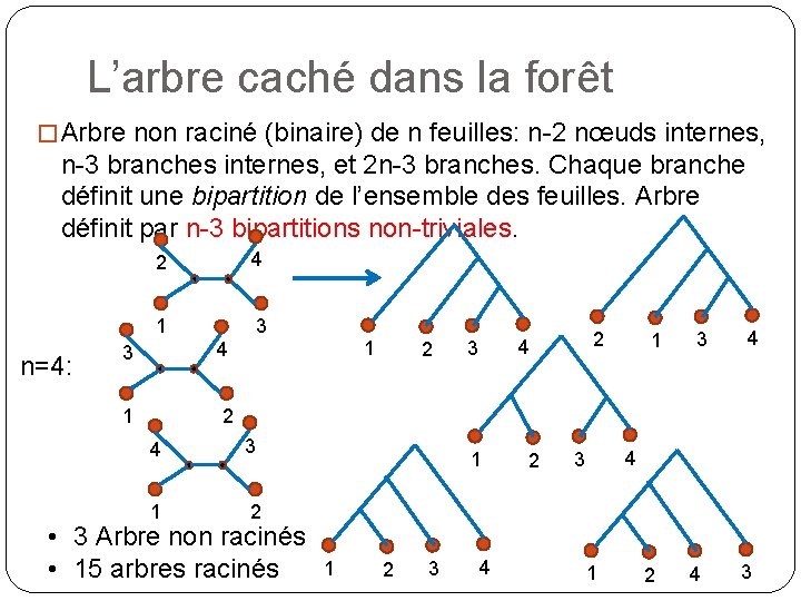 L’arbre caché dans la forêt � Arbre non raciné (binaire) de n feuilles: n-2