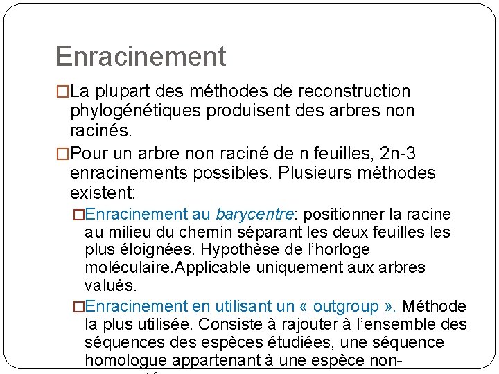 Enracinement �La plupart des méthodes de reconstruction phylogénétiques produisent des arbres non racinés. �Pour