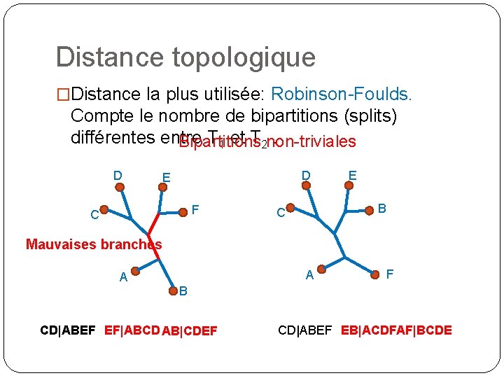 Distance topologique �Distance la plus utilisée: Robinson-Foulds. Compte le nombre de bipartitions (splits) différentes