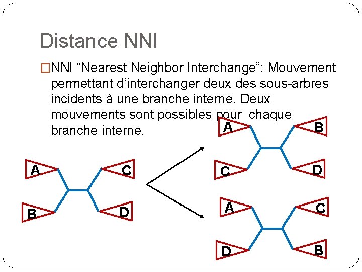 Distance NNI �NNI “Nearest Neighbor Interchange”: Mouvement permettant d’interchanger deux des sous-arbres incidents à
