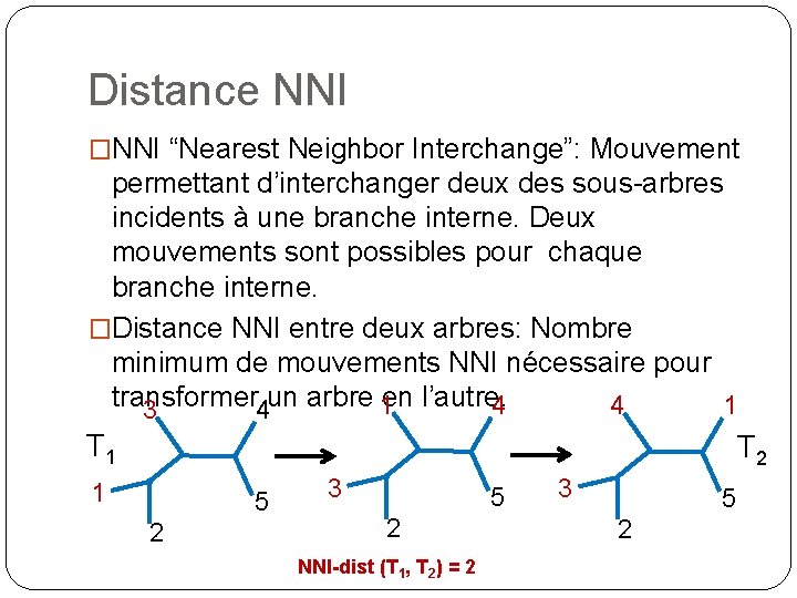Distance NNI �NNI “Nearest Neighbor Interchange”: Mouvement permettant d’interchanger deux des sous-arbres incidents à