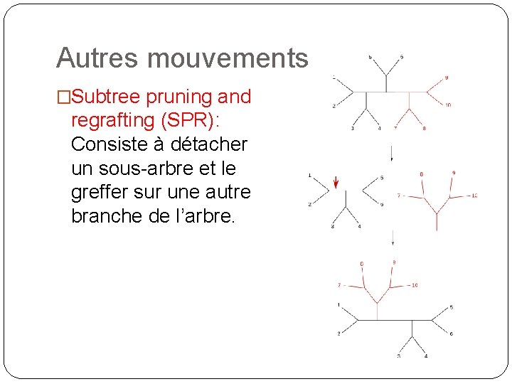 Autres mouvements �Subtree pruning and regrafting (SPR): Consiste à détacher un sous-arbre et le