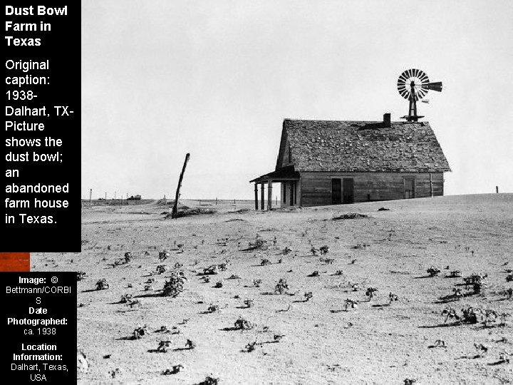 Dust Bowl Farm in Texas Original caption: 1938 Dalhart, TX- Picture shows the dust