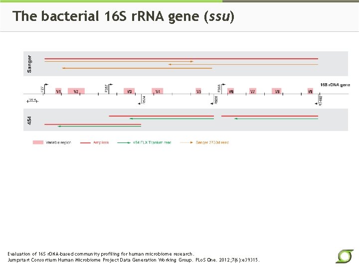 The bacterial 16 S r. RNA gene (ssu) Evaluation of 16 S r. DNA-based