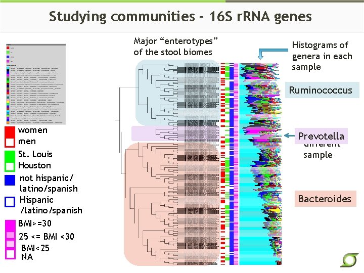 Studying communities - 16 S r. RNA genes Major “enterotypes” of the stool biomes