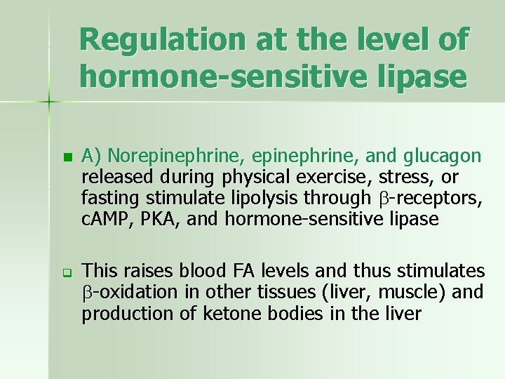 Regulation at the level of hormone-sensitive lipase n q A) Norepinephrine, and glucagon released