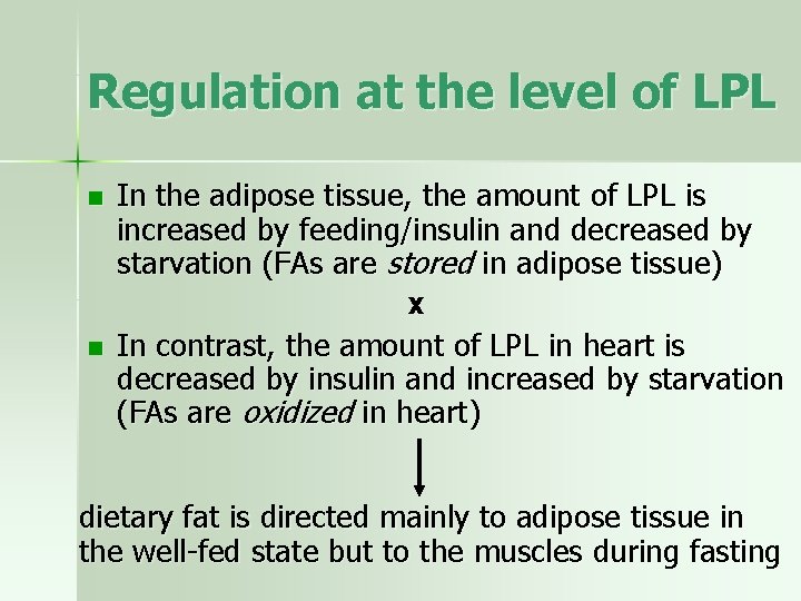 Regulation at the level of LPL n In the adipose tissue, the amount of
