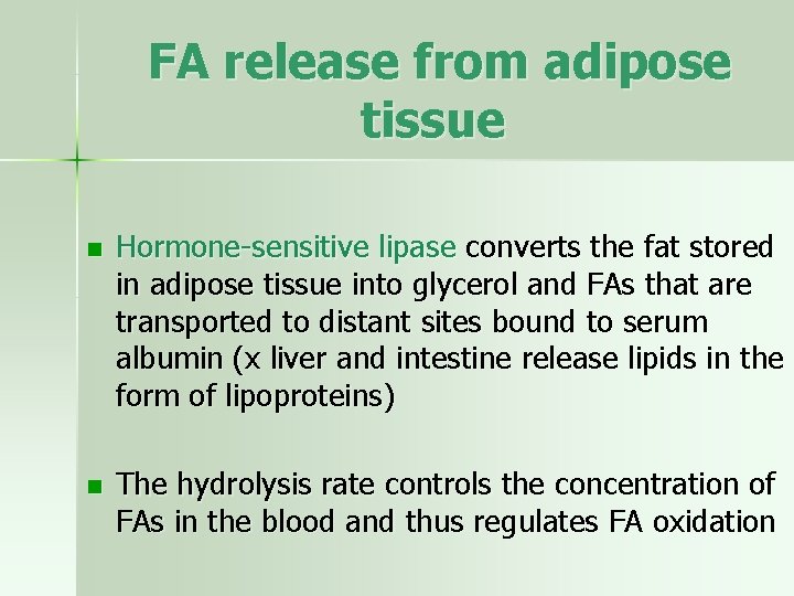 FA release from adipose tissue n Hormone-sensitive lipase converts the fat stored in adipose