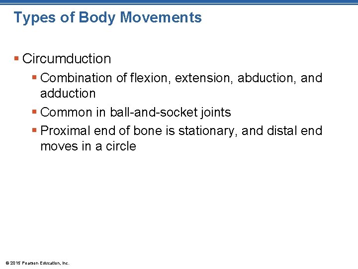 Types of Body Movements § Circumduction § Combination of flexion, extension, abduction, and adduction