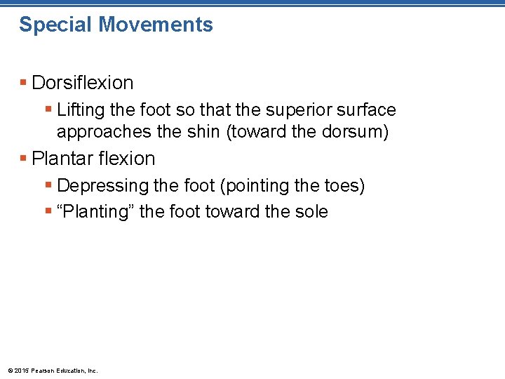 Special Movements § Dorsiflexion § Lifting the foot so that the superior surface approaches