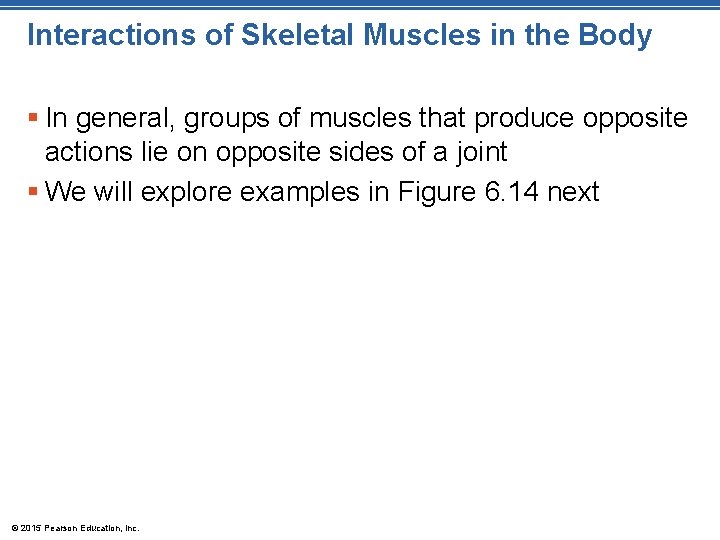 Interactions of Skeletal Muscles in the Body § In general, groups of muscles that