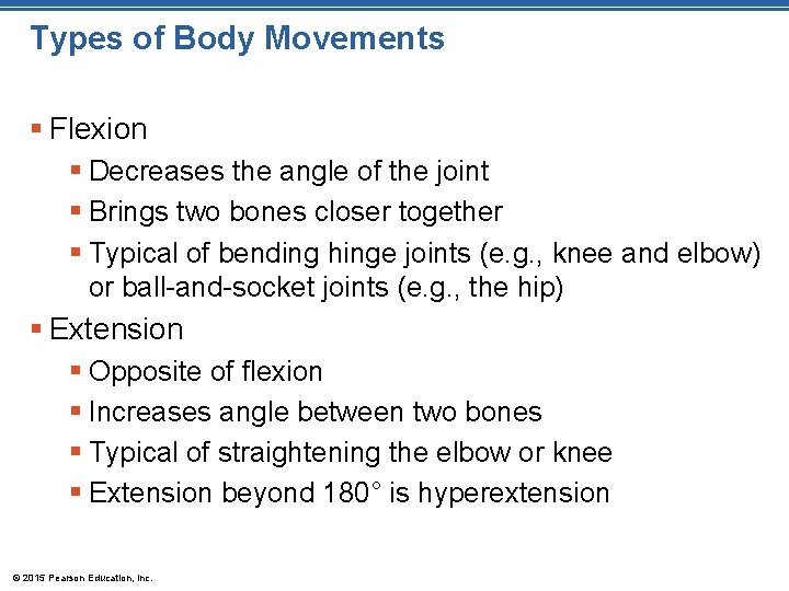 Types of Body Movements § Flexion § Decreases the angle of the joint §