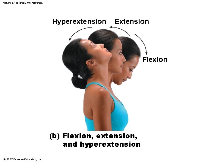 Figure 6. 13 b Body movements. Hyperextension Extension Flexion (b) Flexion, extension, and hyperextension