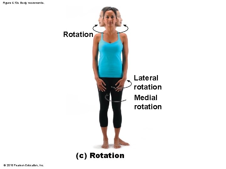Figure 6. 13 c Body movements. Rotation Lateral rotation Medial rotation (c) Rotation ©