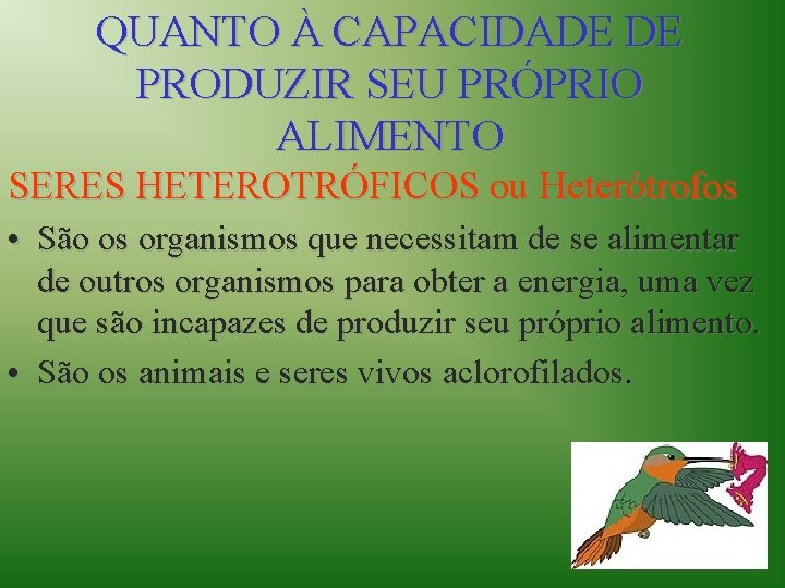 QUANTO À CAPACIDADE DE PRODUZIR SEU PRÓPRIO ALIMENTO SERES HETEROTRÓFICOS ou Heterótrofos • São