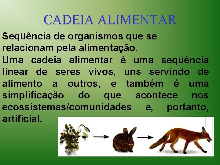 CADEIA ALIMENTAR Seqüência de organismos que se relacionam pela alimentação. Uma cadeia alimentar é