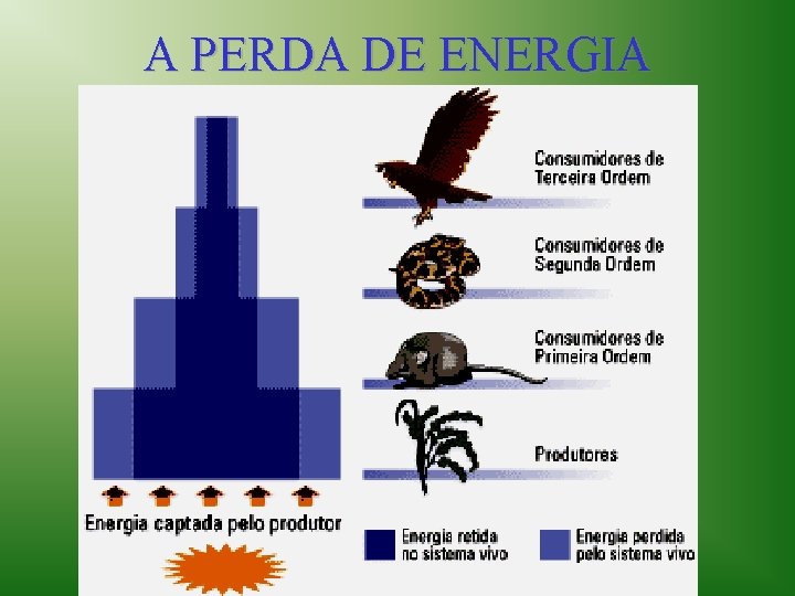 A PERDA DE ENERGIA 