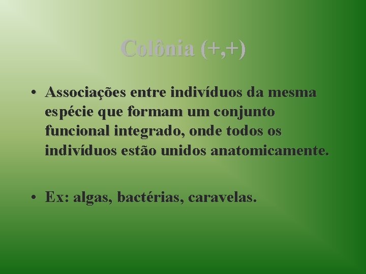 Colônia (+, +) • Associações entre indivíduos da mesma espécie que formam um conjunto