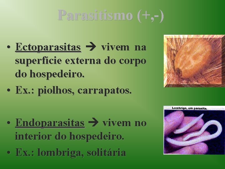 Parasitismo (+, -) • Ectoparasitas vivem na superfície externa do corpo do hospedeiro. •