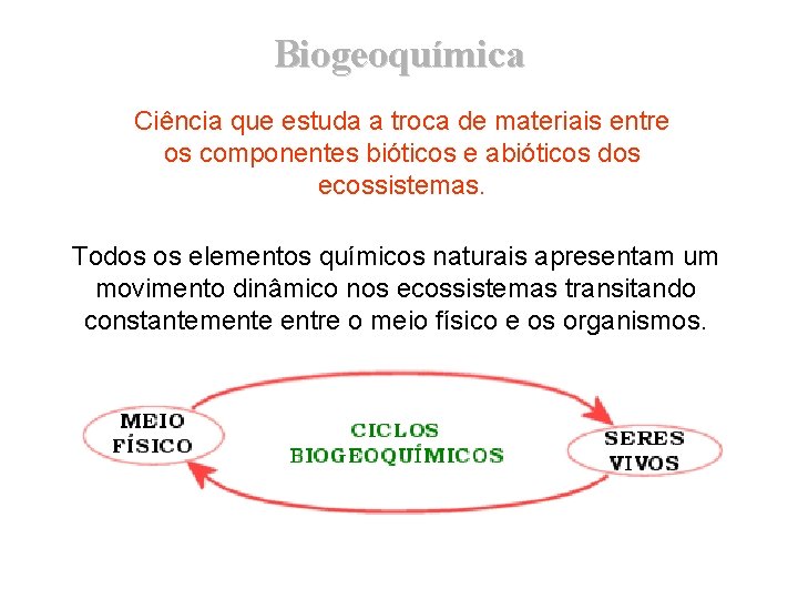 Biogeoquímica Ciência que estuda a troca de materiais entre os componentes bióticos e abióticos