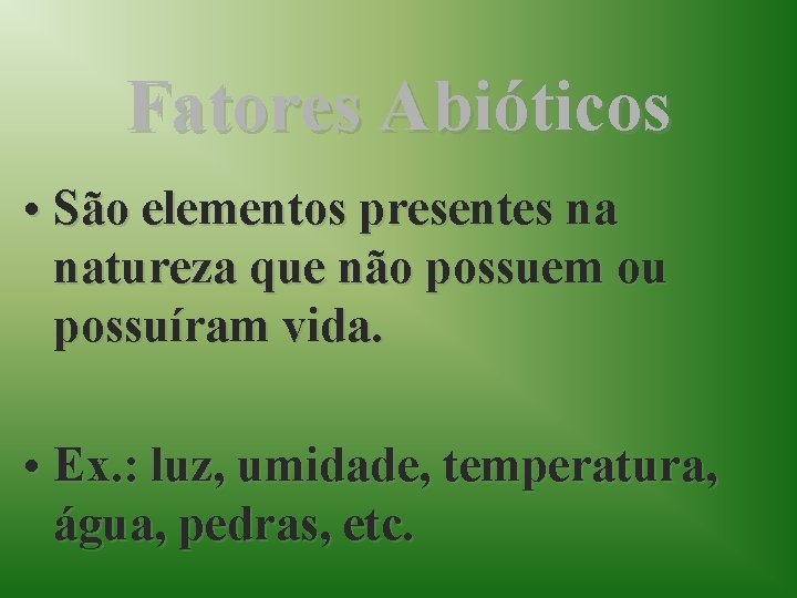 Fatores Abióticos • São elementos presentes na natureza que não possuem ou possuíram vida.