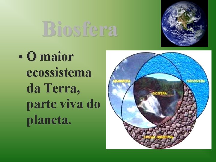 Biosfera • O maior ecossistema da Terra, parte viva do planeta. 