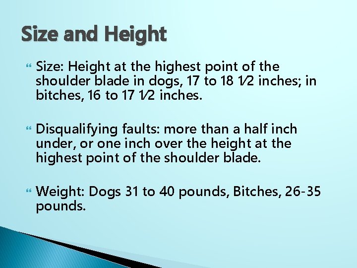 Size and Height Size: Height at the highest point of the shoulder blade in