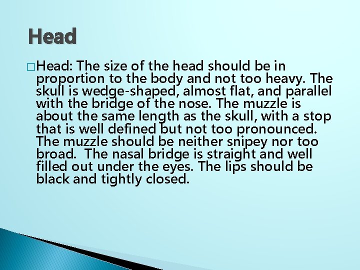 Head � Head: The size of the head should be in proportion to the