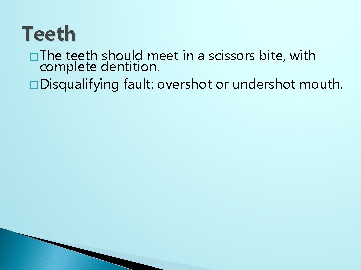 Teeth � The teeth should meet in a scissors bite, with complete dentition. �