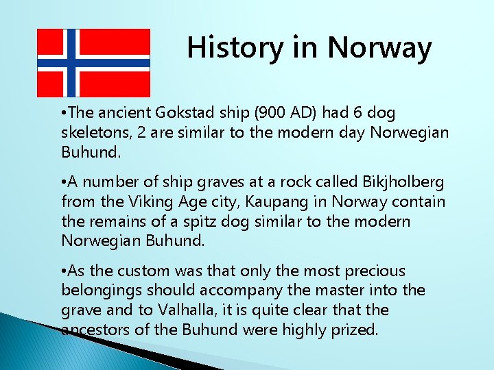 History in Norway • The ancient Gokstad ship (900 AD) had 6 dog skeletons,