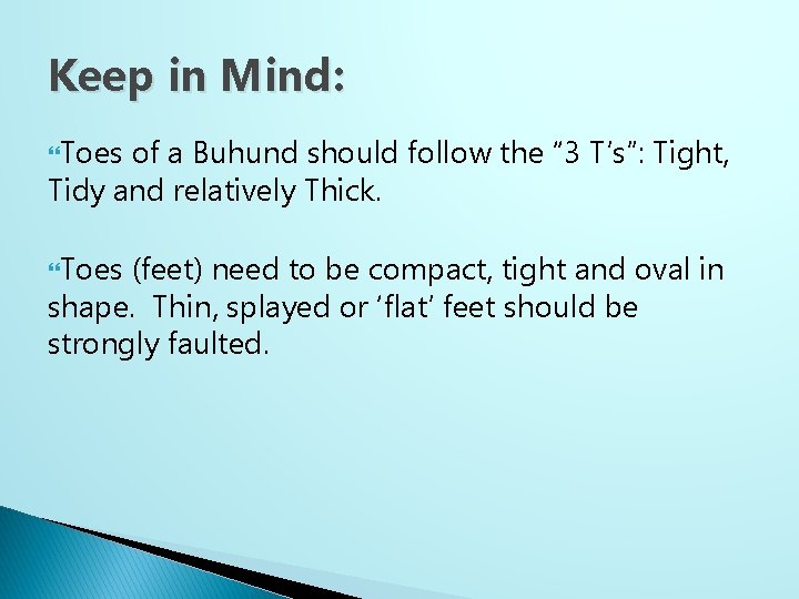 Keep in Mind: Toes of a Buhund should follow the “ 3 T’s”: Tight,