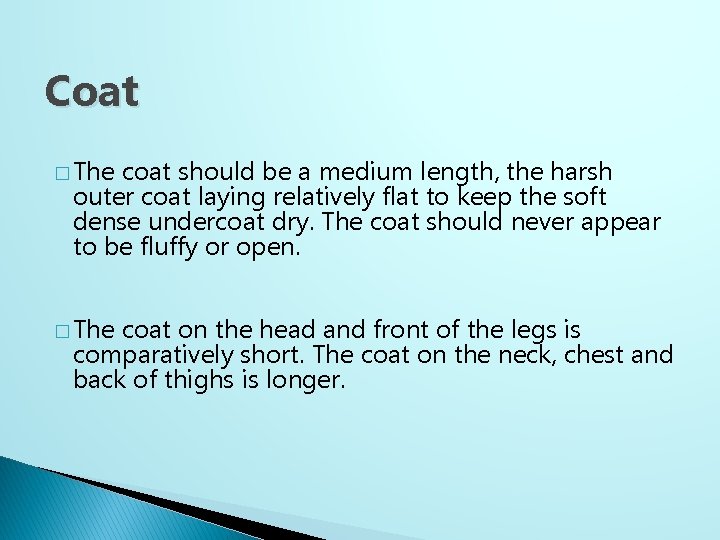 Coat � The coat should be a medium length, the harsh outer coat laying