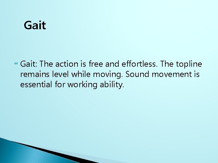 Gait Gait: The action is free and effortless. The topline remains level while moving.