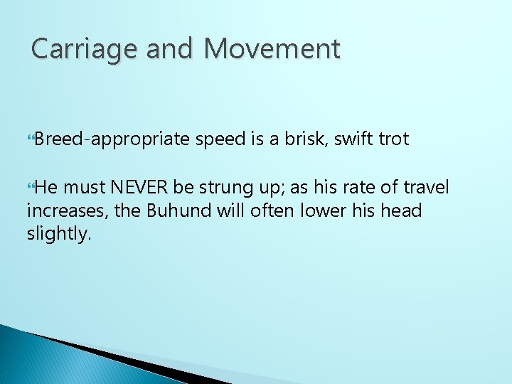 Carriage and Movement Breed-appropriate He speed is a brisk, swift trot must NEVER be