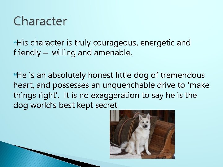 Character His character is truly courageous, energetic and friendly – willing and amenable. He