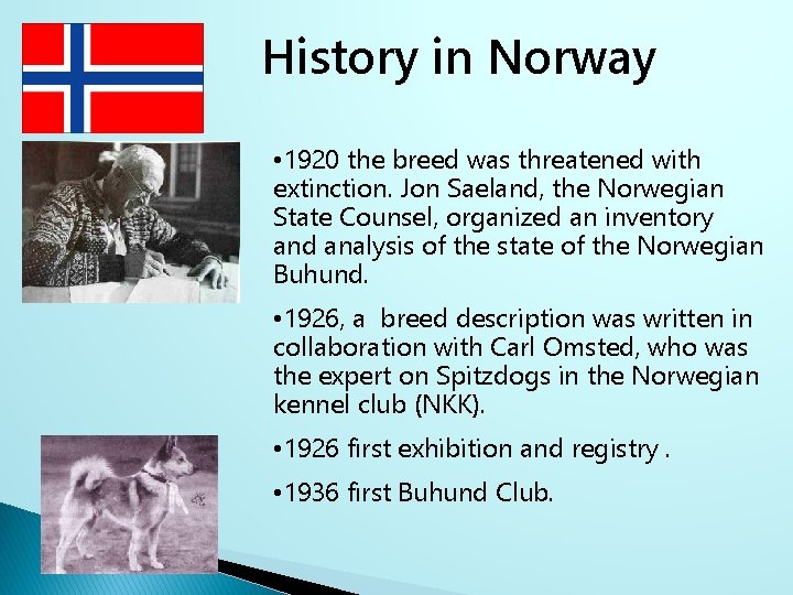 History in Norway • 1920 the breed was threatened with extinction. Jon Saeland, the