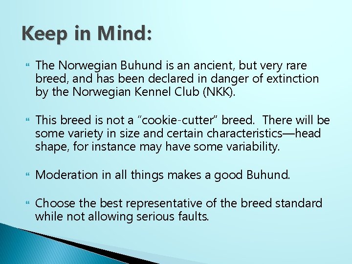 Keep in Mind: The Norwegian Buhund is an ancient, but very rare breed, and