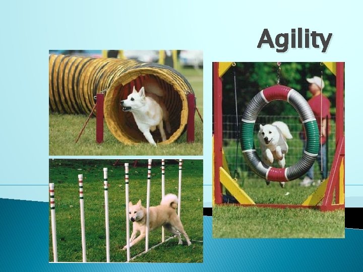 Agility 