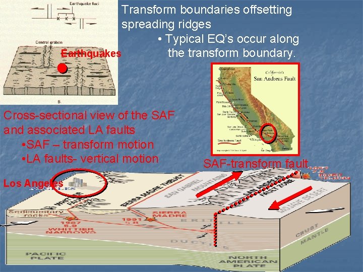 Transform boundaries offsetting spreading ridges • Typical EQ’s occur along Earthquakes the transform boundary.