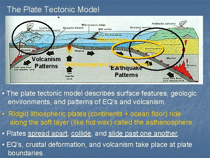 The Plate Tectonic Model lithosphere Volcanism mantle) Patterns Asthenosphere (upper Earthquake Patterns • The