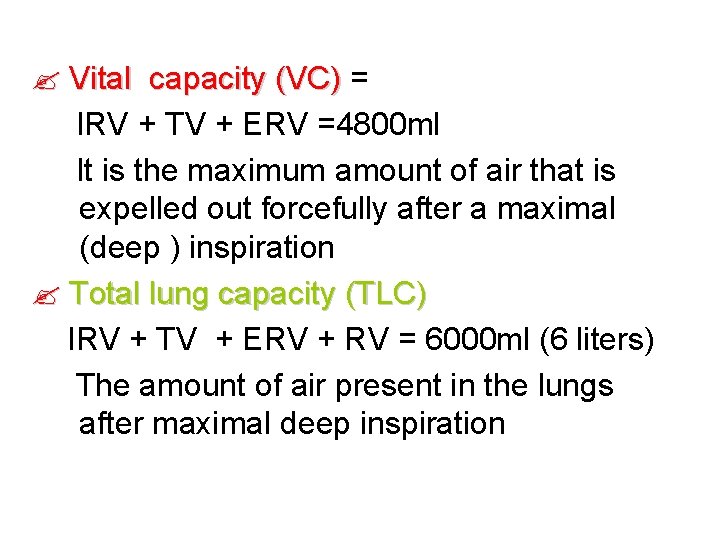  Vital capacity (VC) = IRV + TV + ERV =4800 ml It is