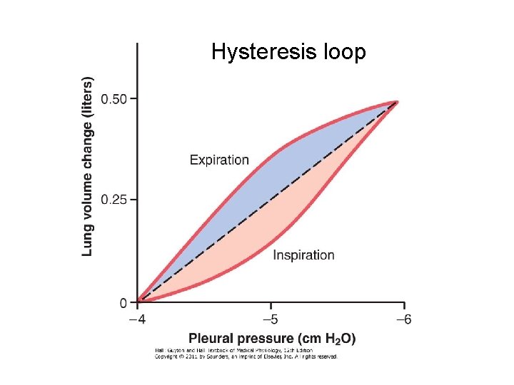 Hysteresis loop 