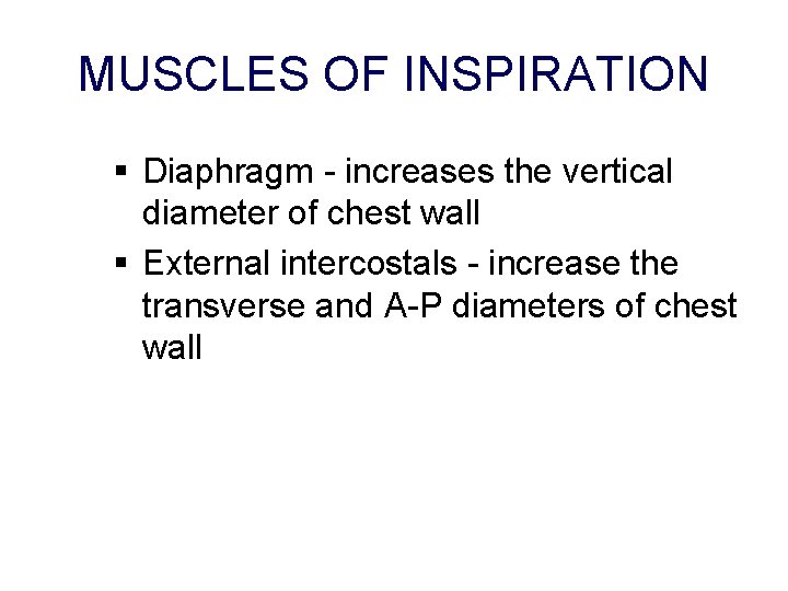 MUSCLES OF INSPIRATION § Diaphragm - increases the vertical diameter of chest wall §