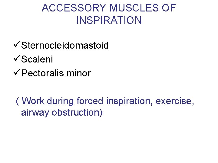 ACCESSORY MUSCLES OF INSPIRATION ü Sternocleidomastoid ü Scaleni ü Pectoralis minor ( Work during