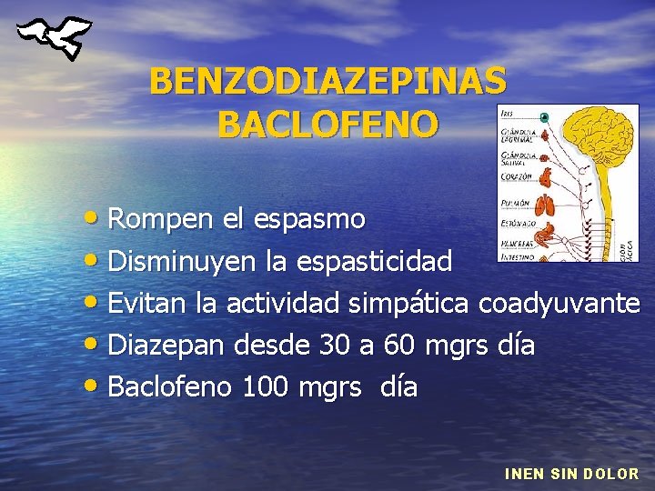 BENZODIAZEPINAS BACLOFENO • Rompen el espasmo • Disminuyen la espasticidad • Evitan la actividad