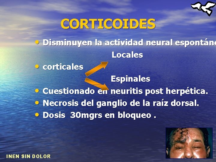 CORTICOIDES • Disminuyen la actividad neural espontáne • corticales • • • Locales Espinales